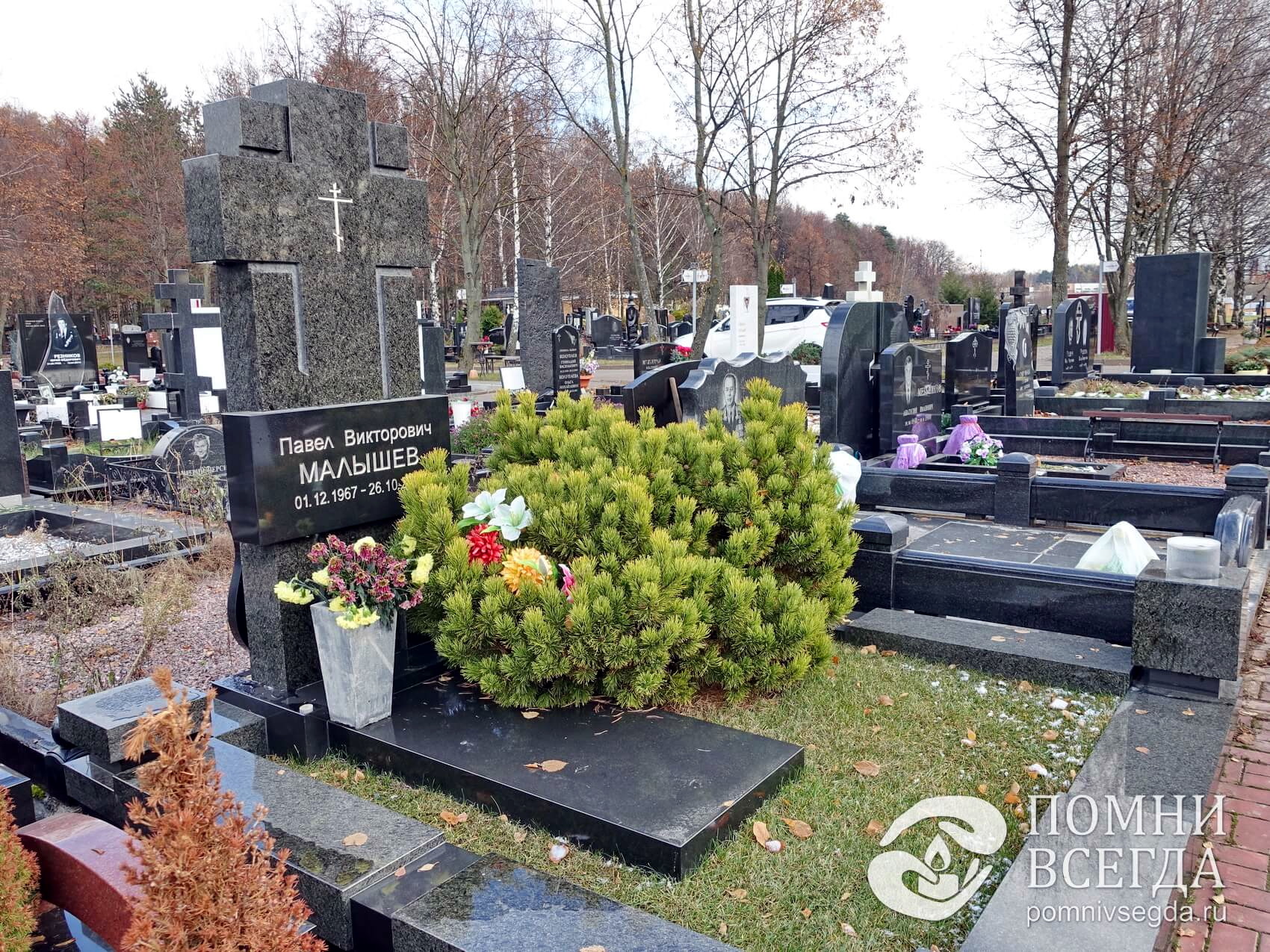 Прямоугольное надгробье с полированной вставкой и широкая карликовая сосна